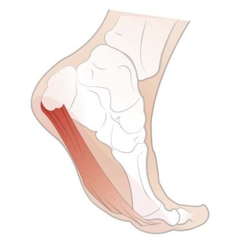heel of foot hurts