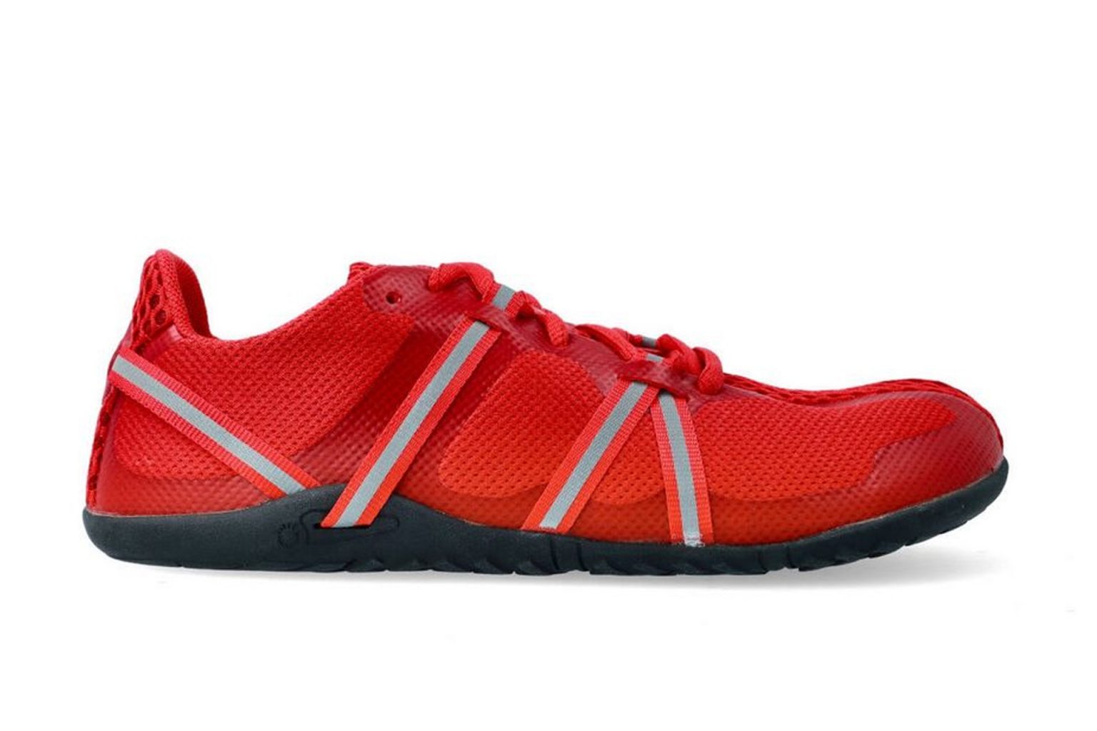 Ingrown Toenail Treatment for Runners Top 3 Shoes for Runners