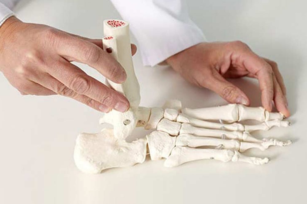 Sesamoid Foot Injury And Treatment The Foot Practice Singapore